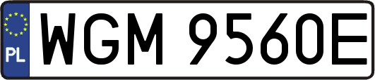 WGM9560E