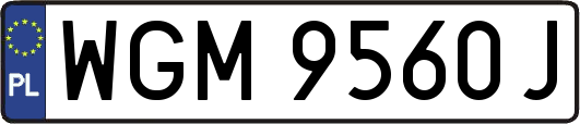 WGM9560J