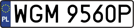 WGM9560P