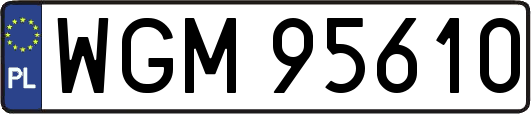 WGM95610
