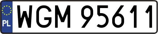 WGM95611