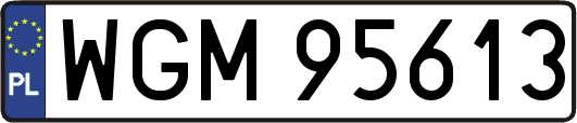 WGM95613