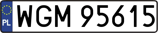 WGM95615