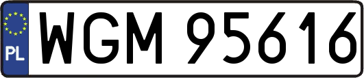 WGM95616
