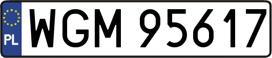WGM95617