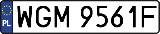 WGM9561F