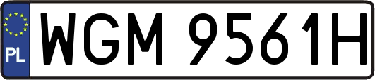 WGM9561H
