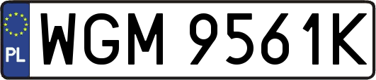 WGM9561K