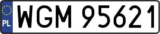 WGM95621