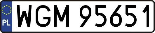 WGM95651