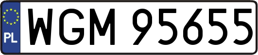 WGM95655