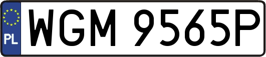 WGM9565P