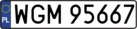 WGM95667