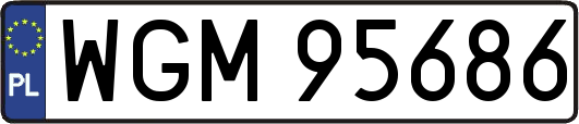 WGM95686