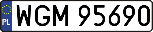 WGM95690