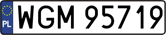 WGM95719