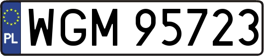 WGM95723