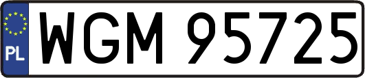 WGM95725