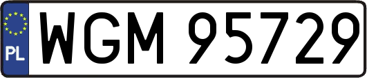 WGM95729