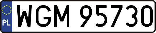 WGM95730