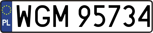 WGM95734