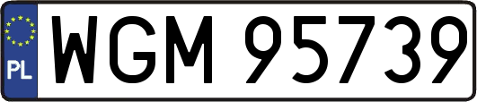 WGM95739