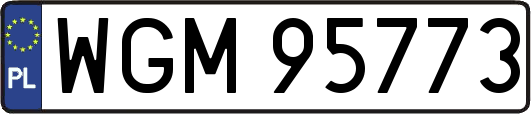 WGM95773