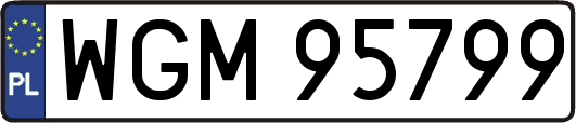 WGM95799