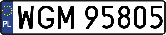 WGM95805