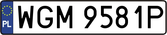WGM9581P