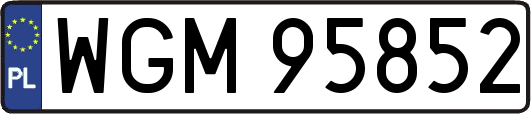 WGM95852