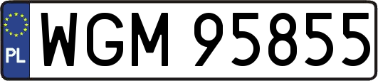 WGM95855