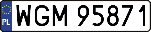 WGM95871