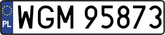 WGM95873
