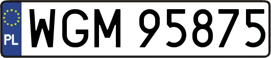 WGM95875