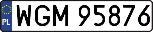 WGM95876