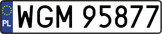 WGM95877