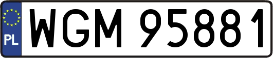 WGM95881