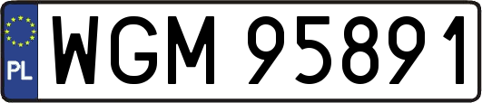 WGM95891