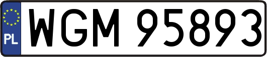 WGM95893
