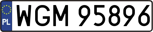 WGM95896