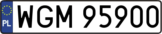 WGM95900