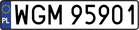 WGM95901
