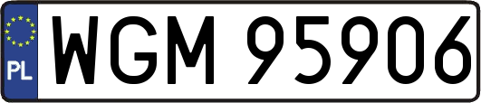 WGM95906