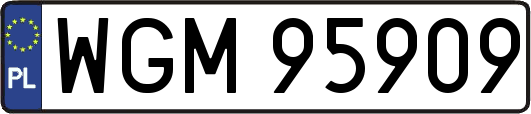 WGM95909