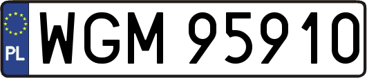 WGM95910