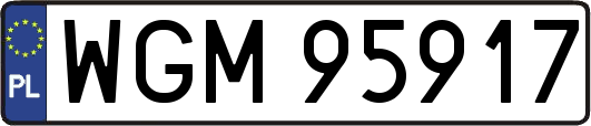 WGM95917