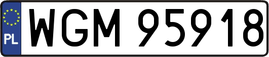 WGM95918