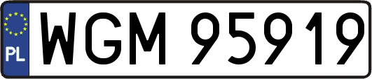 WGM95919