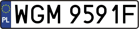 WGM9591F